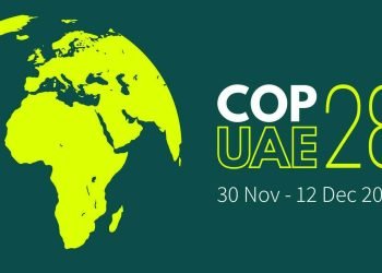 With UN COP 28 Over, What Is Africa’s Position On Climate Change?