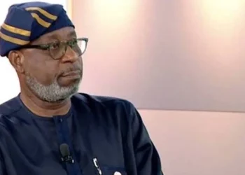 The Minister of Solid Minerals, Dele Alake