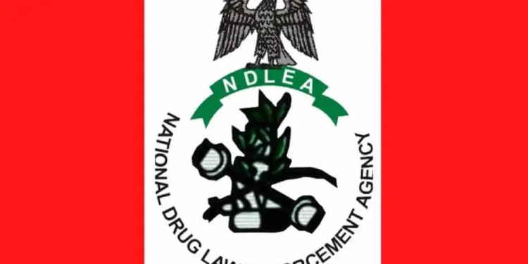 NDLEA