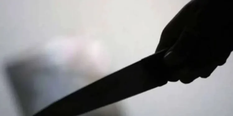 Neighbour 'kills' nurse and maid in Benue.