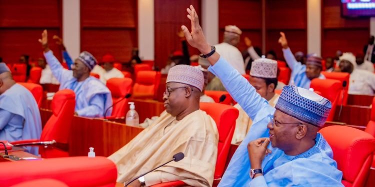 Northern senators consider legal