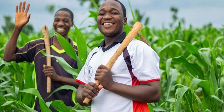 Farmer Umaru Bago Calls For Knowledge Expansion By ICT Trainees