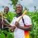 Farmer Umaru Bago Calls For Knowledge Expansion By ICT Trainees