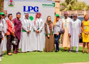 Saudi Arabia partners FG on job creation, clean cooking