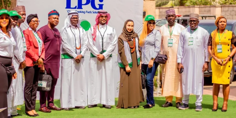 Saudi Arabia partners FG on job creation, clean cooking