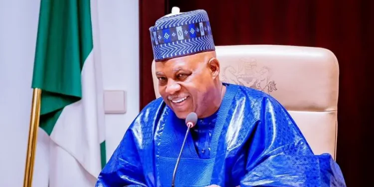 Vice President Kashim Shettima