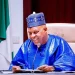 Vice President Kashim Shettima