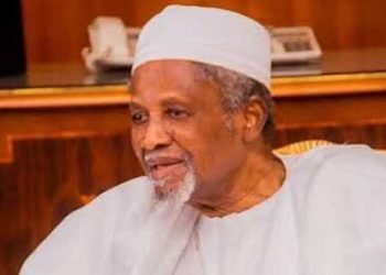 Calls for Parliamentary System thickens as Dantata backs lawmakers