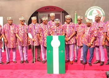 PDP Governors: It’s time to do the work you were elected for