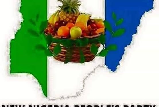 Rerun Election: NNPP Comdemns Attact on innocent voters by APC Thugs