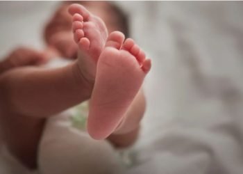 stealing a day-old baby