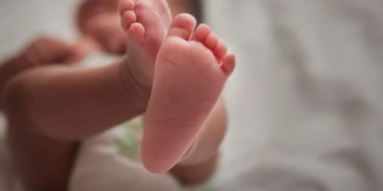 stealing a day-old baby