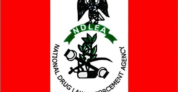 NDLEA alerts public on new scam