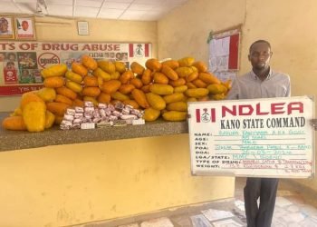 NDLEA intercepts Qatar-bound illicit drugs concealed in African salad, dried vegetables