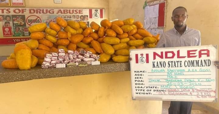 NDLEA intercepts Qatar-bound illicit drugs concealed in African salad, dried vegetables