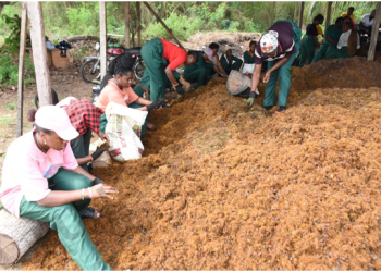 FUNAAB Celebrates Bumper Palm Fruit Harvest