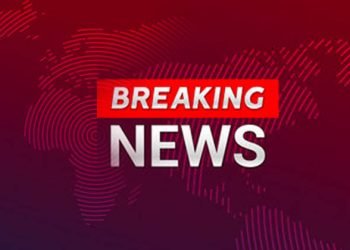 Nigerian worshippers heading for crusade die in road crash (PHOTO)