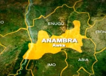 Crime reports scare investors away from Anambra - Bizman