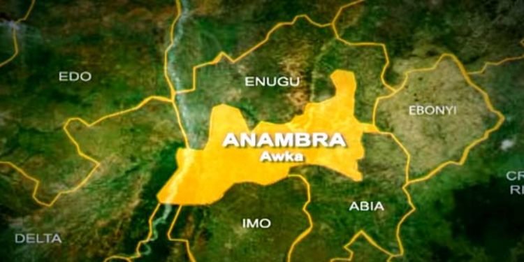 Crime reports scare investors away from Anambra - Bizman