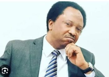The other side of Shehu Sani’s opposition to the World Bank loan