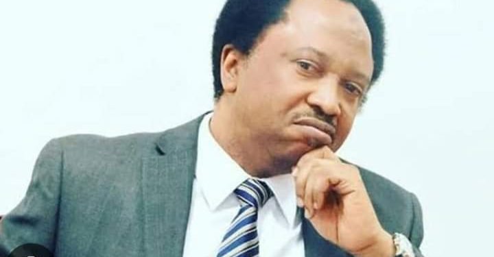 The other side of Shehu Sani’s opposition to the World Bank loan