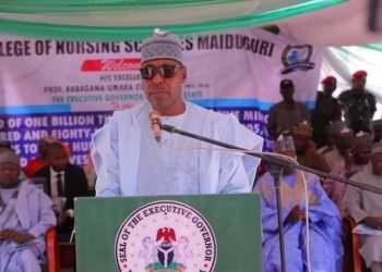 Zulum approves N1.3bn scholarship for 997 nursing, midwifery students