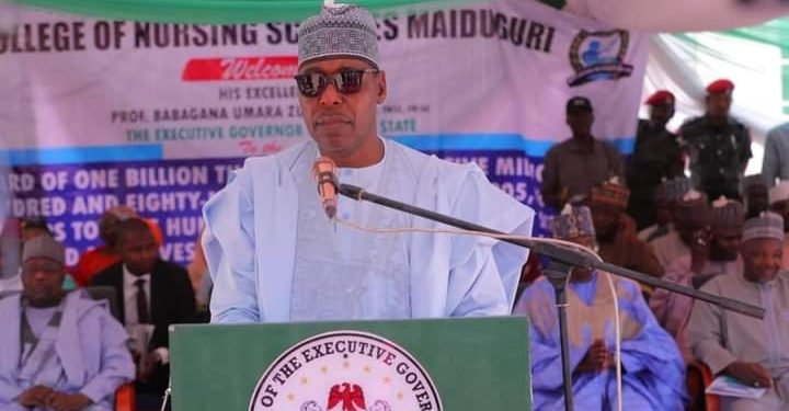 Zulum approves N1.3bn scholarship for 997 nursing, midwifery students