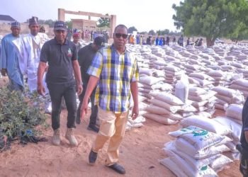 Zulum: Palliative distribution a necessity, not my priority