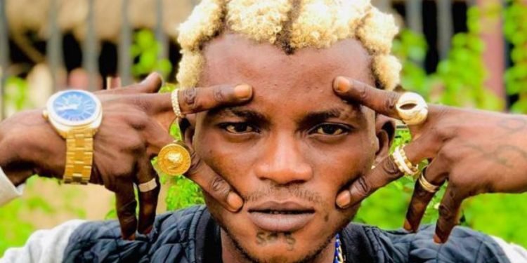 Portable Pleads for Forgiveness Over Naira Abuse Allegations