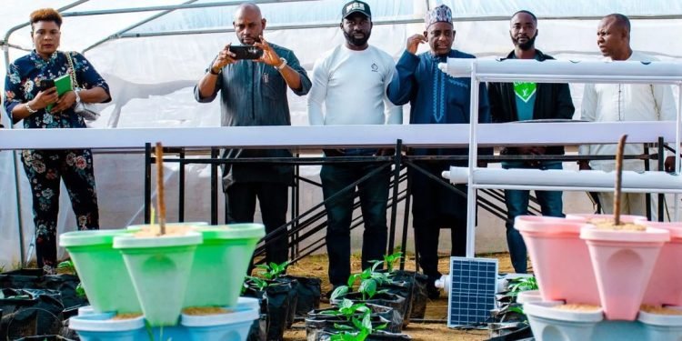 Nigerian African Leadership University Student Pioneers Agritech Solution To Food Insecurity As World Leaders Assess Progress Towards Achieving Sdgs