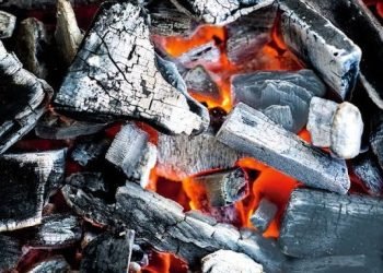 Use of firewood, charcoal kill 98,000 Nigerian women annually- Expert