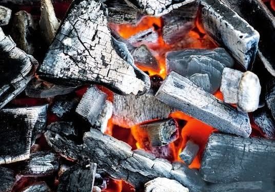 Use of firewood, charcoal kill 98,000 Nigerian women annually- Expert