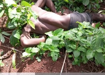 Troops neutralizes IPOB IED expert 