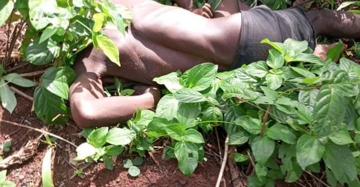 Troops neutralizes IPOB IED expert