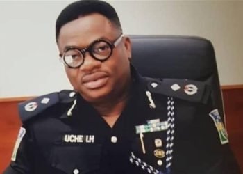 Interpol appoints Nigerian police commissioner