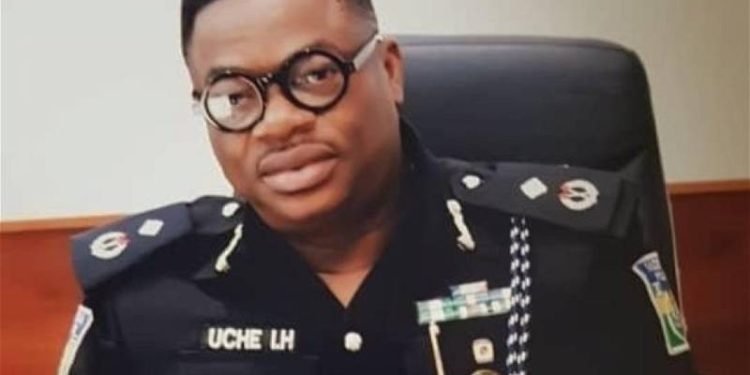 Interpol appoints Nigerian police commissioner