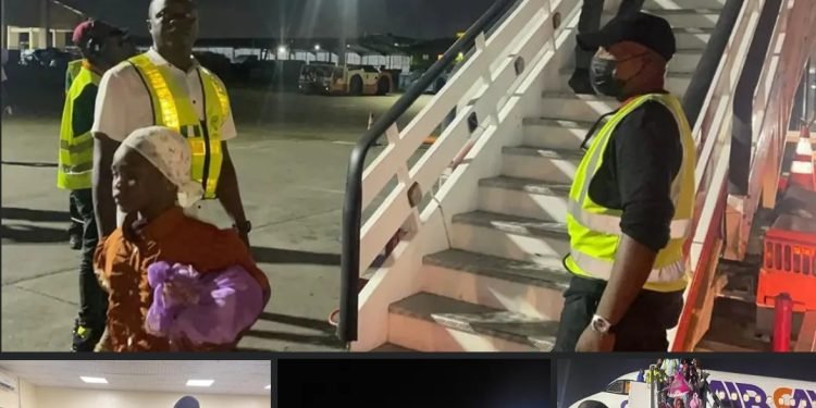 NEMA receives stranded Nigerians from Chad