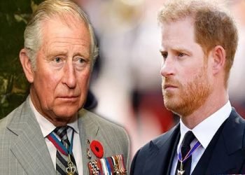 Chose between me and your wife – Prince Harry to King Charles