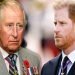 Chose between me and your wife – Prince Harry to King Charles