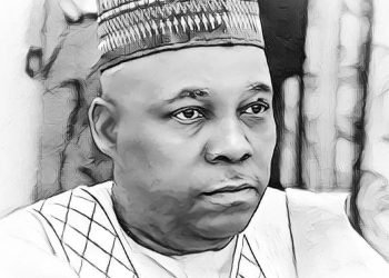 Tinubu’s Presidency: Where is Senator Shettima?