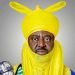 Court nullifies law used in dethroning Bayero, refuse to declare law null and void