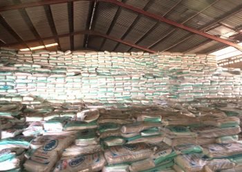 Senator Barau flags off distribution of 69 trucks of fertiliser to Kano farmers