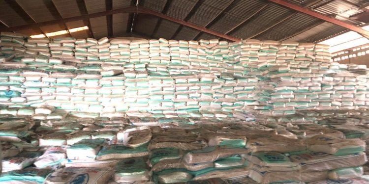 Senator Barau flags off distribution of 69 trucks of fertiliser to Kano farmers