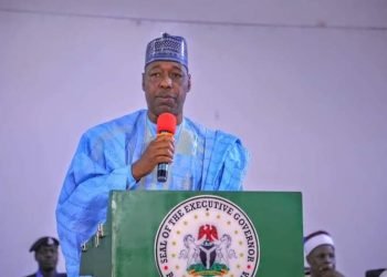 Zulum urges citizens to shun protest, says govt working to ease hardships