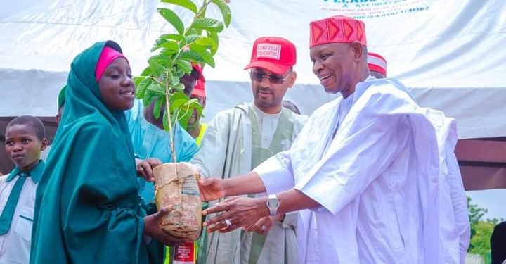 Climate Change: Governor Yusuf Launches 3-Million Tree planting initiatives in Kano