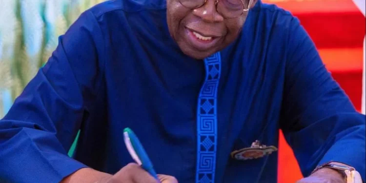 Tinubu makes first appointment for newly created livestock ministry