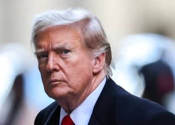 Donald Trump survives assassination attempt at rally