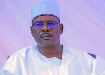 Senate sacks Ndume as chief whip for criticising Tinubu