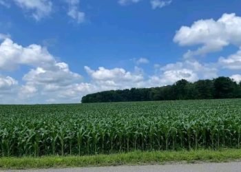 10 lessons to become successful farmer