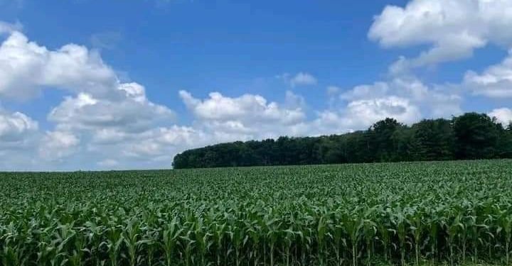 10 lessons to become successful farmer